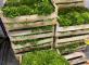 Reportage sur la cuisine à la Résidence Résidence la Forêt de l’Hautil Andresy